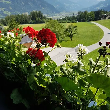 Apartment Hotel Pension Platzer *